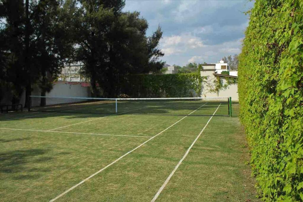 Elegante Habitacion Ideal Para Tu Estancia. San Miguel de Allende Eksteriør bilde